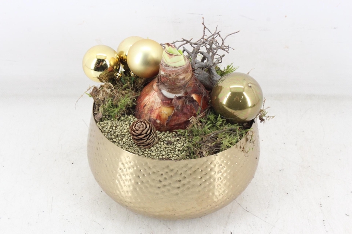 <h4>arr4 Amaryllis MB - Zink bowl goud 285/6</h4>