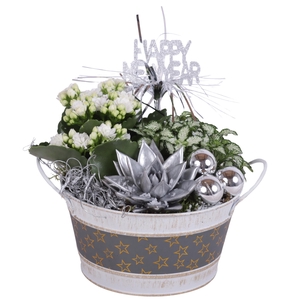 New Year Arr. Indoor Zinc Pot Round Star Design Ø17cm 3PP