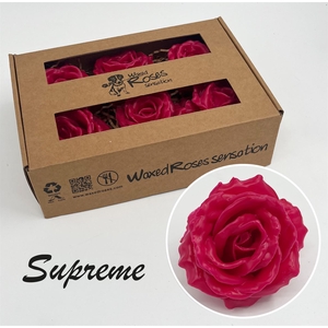 R Zijde Supreme Cerise Wx