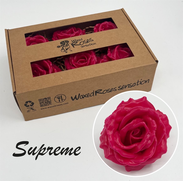 Zijde R Supreme Cerise Wx