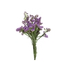 STATICE SINZII LAVENDERISH 060 CM
