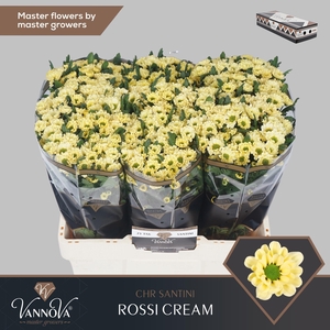 Chr S Rossi Cream