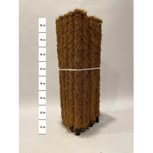 Mosstok 70 cm 30 stuks per bundel