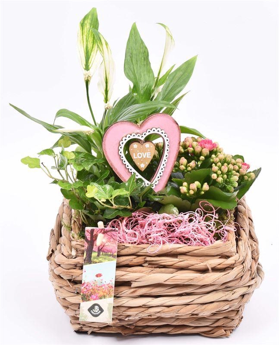 <h4>Touwmand 20x20cm</h4>