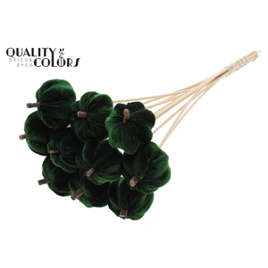 Velvet Pumpkin Ø6cm on stem Green