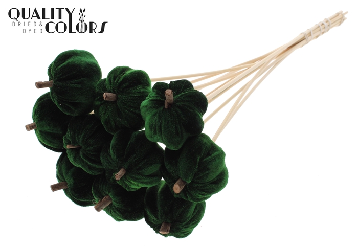 Velvet Pumpkin Ø6cm on stem Green