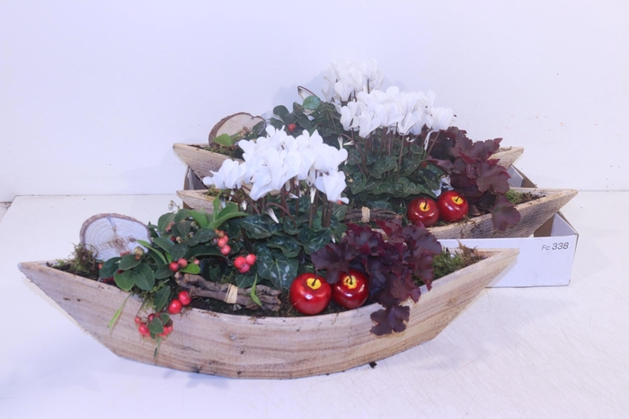 <h4>ARR TUINPLANTEN</h4>