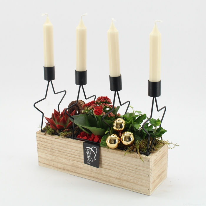 <h4>ADV-2407R Advent creatie</h4>