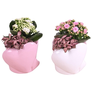 Mothersday Arr. Indoor Ceramic Heart Pot Pink/White Ø16cm 2PP
