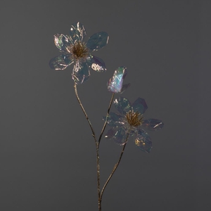 AF Irid. magnolia spray x3 L83