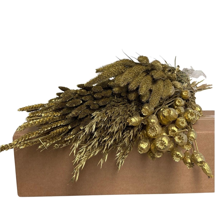 <h4>Droogbloem DIY box assorti 60-75cm</h4>