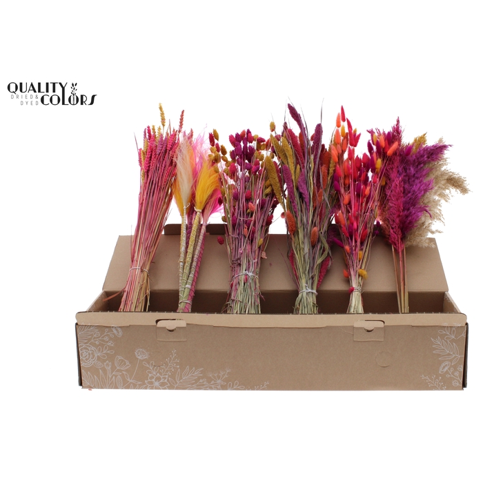 <h4>Various Driedflower Mix Colourful 10</h4>