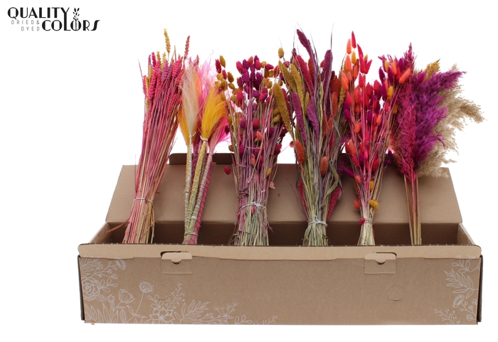 Various Driedflower Mix Colourful 10