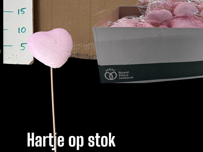 <h4>HARTJE OP STOK H%</h4>