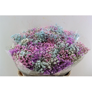 Gyps Pa. Rainbow Barbie