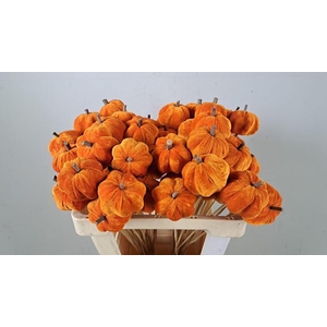 Stick Pumpkin 5/6cm Orange