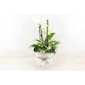 arr2 PL - Zink pot met hart Phal wit
