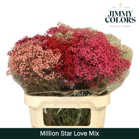 <h4>Gyps Million Star L80 Love mix</h4>