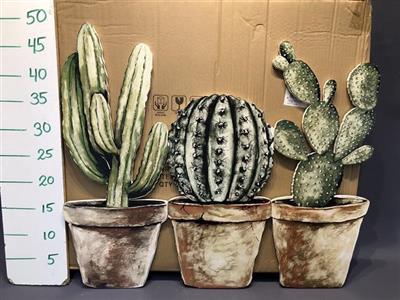 <h4>HUIS EN TUINDECO - CACTUS BORD</h4>