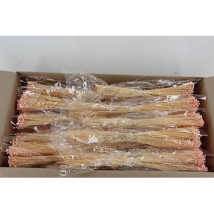 DF Berina Pink Bs