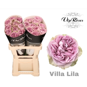 R GR VILLA LILA