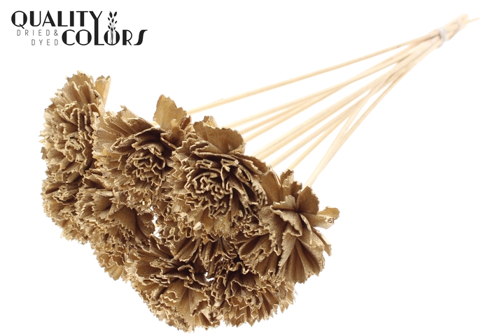 Shola Karnish Flower 6cm on stem Antique Gold