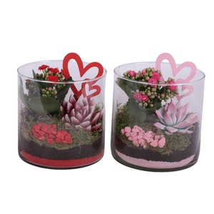 Valentine Arr. Indoor Glass Vase Cylinder Ø15cm 2PP