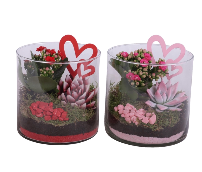 <h4>Valentine Arr. Indoor Glass Vase Cylinder Ø15cm 2PP</h4>