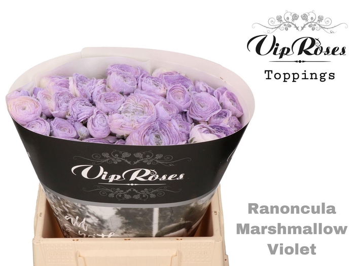 <h4>Ran Marshmallow Violet</h4>