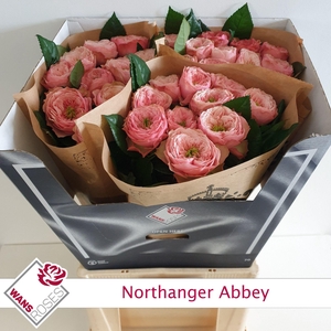 R GR NORTHANGE ABBEY