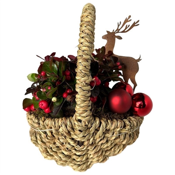 Wilg touwmand ovaal 20x15cm