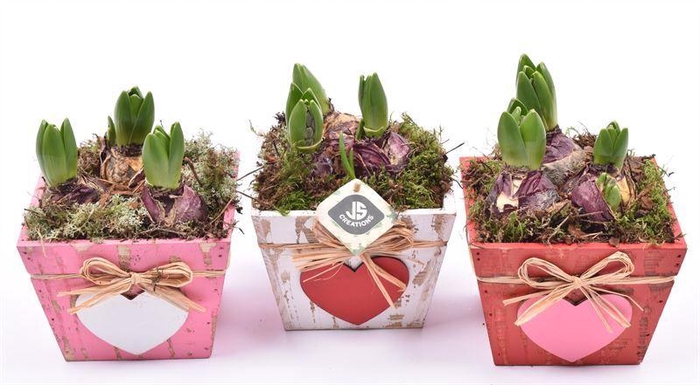 <h4>Hout vierkant hart decor mix 15x15</h4>