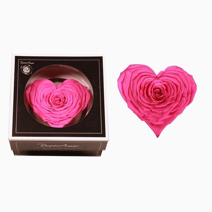 Hart XXL pin-07