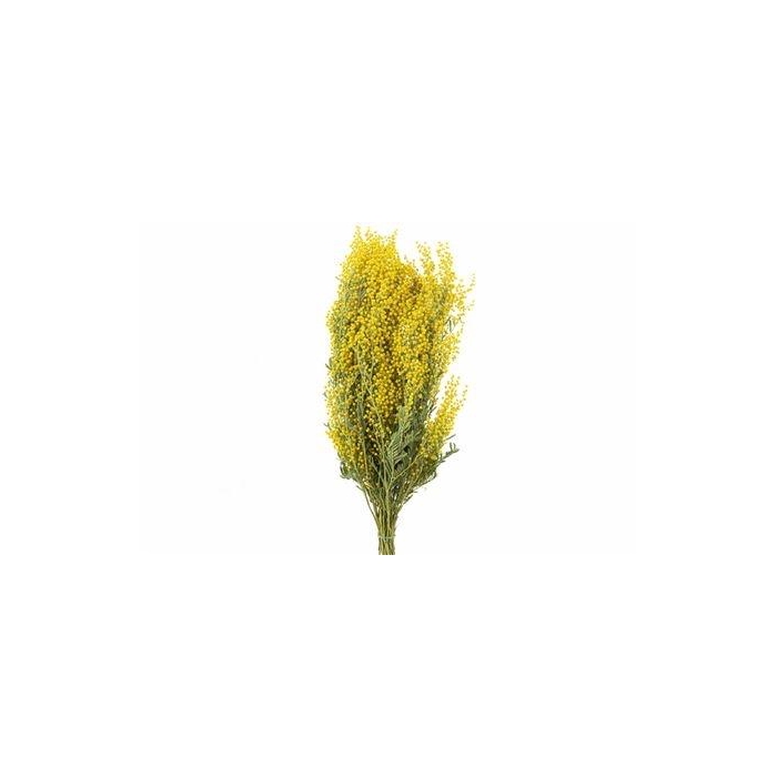 <h4>Droogbl Bewerkt H%</h4>