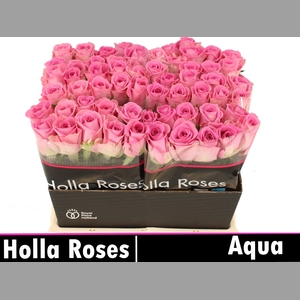 R GR AQUA!