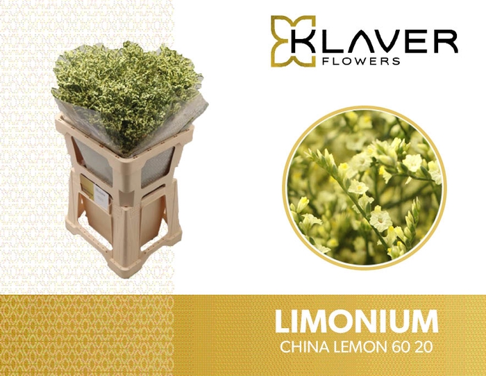 <h4>LIM SIN CHINA LEMON 60 20</h4>