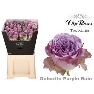 R Gr Dolcetto Purple Rain