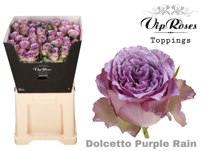 <h4>R Gr Dolcetto Purple Rain</h4>