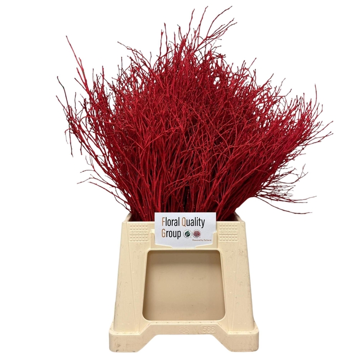 <h4>VACC KLB H%</h4>