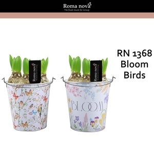 Hya Rom 1368 Bloom Birds