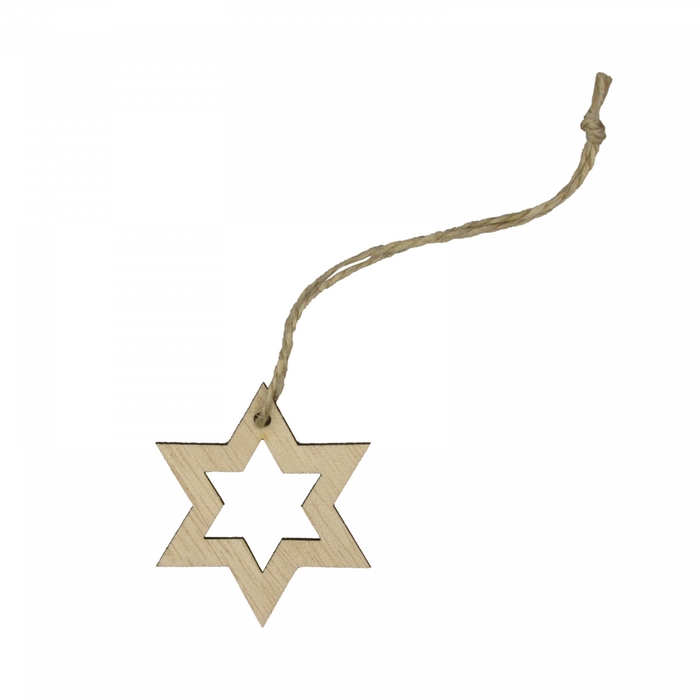 Kerst Deco hanger ster  5cm x24