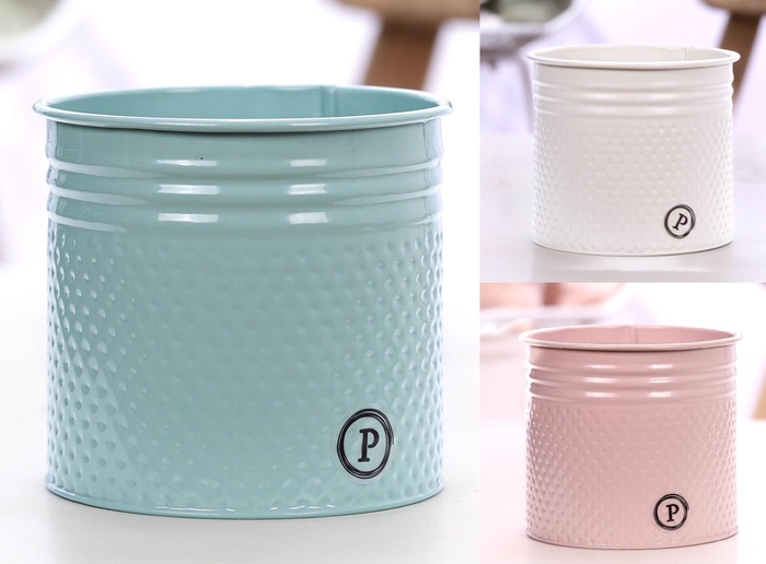 <h4>P&PURE Louise zink gr 3 ass: per volle deen</h4>