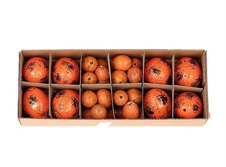 <h4>Egg Combi 8 Chicken 24 Quail L28w11h7</h4>