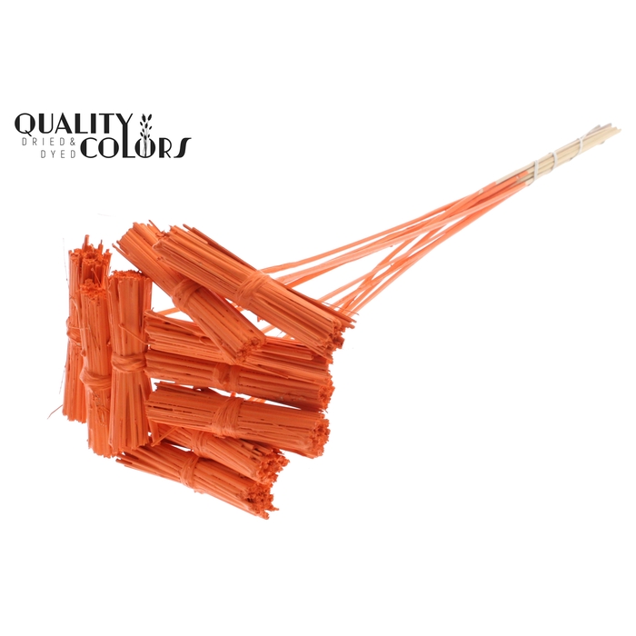 <h4>Kore Posy on stem Covered Orange</h4>