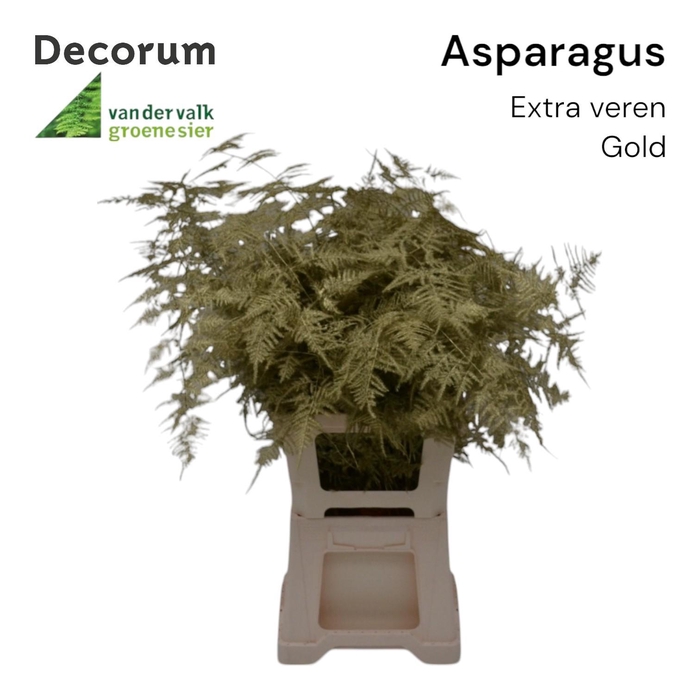 <h4>Asp extra veren Gold</h4>