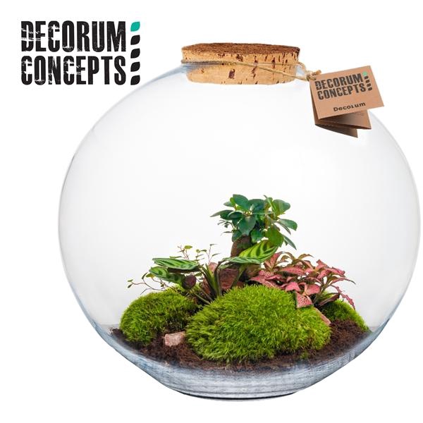 <h4>Arrangementen kamerplanten groen H%</h4>