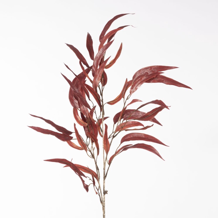 <h4>AF Weeping Eucalyp Spray Metal</h4>
