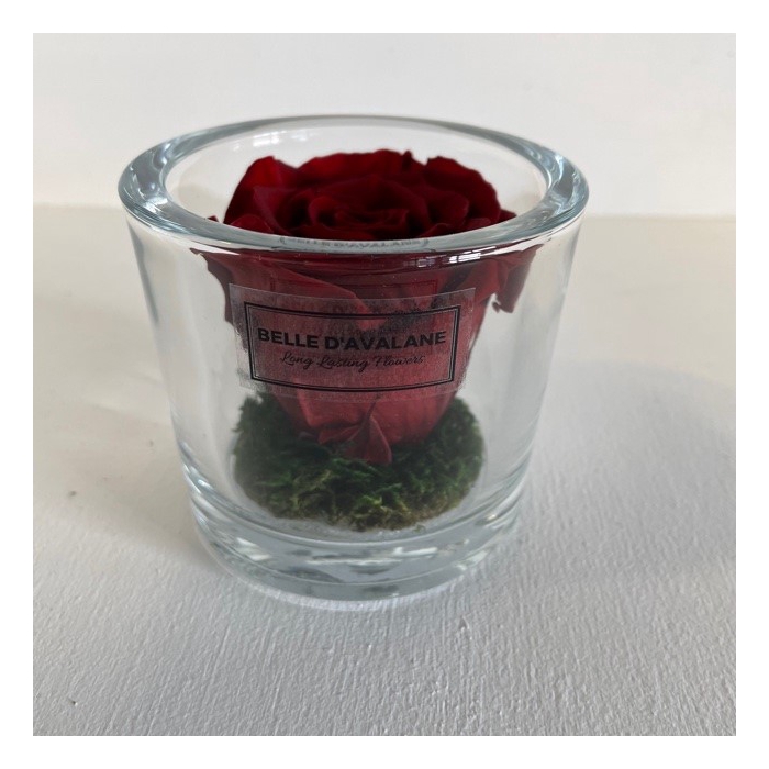 <h4>Cilinder d9x8h bordeaux roos glas</h4>