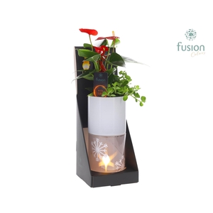 Glas tube Led planter groot met Arrangement