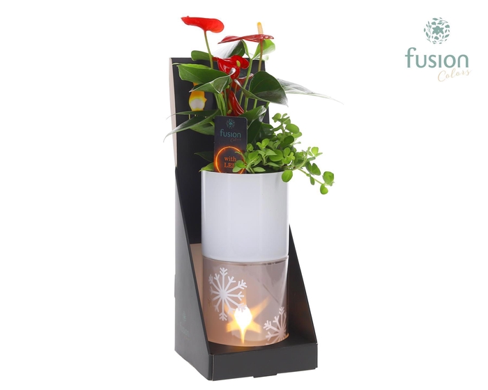 <h4>Glas tube Led planter groot met Arrangement</h4>